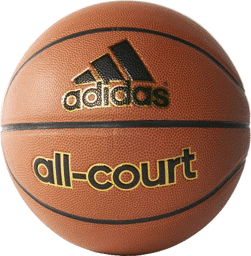 Tampilkan detail untuk All-Court Basketball Gambar All-Court Basketball